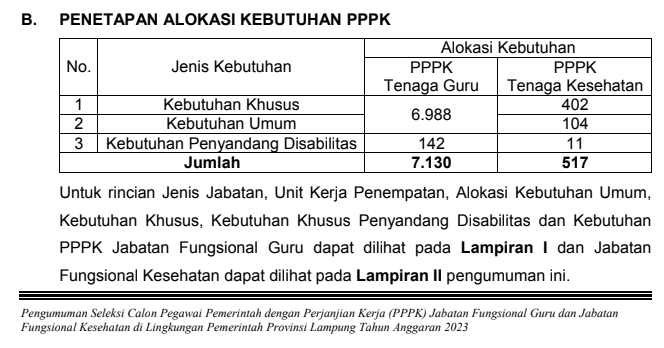 Alokasi Kebutuhan Formasi ASN PPPK Pemprov Lampung 2023