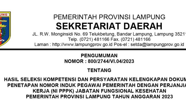 PPPK JF Tenaga Kesehatan Pemprov Lampung 2023