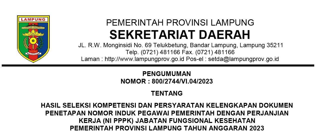 PPPK JF Tenaga Kesehatan Pemprov Lampung 2023